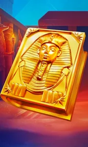 Book of Gold Multichance