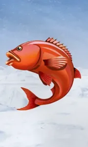 Ice Fishing
